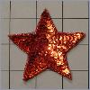 Sequin Star